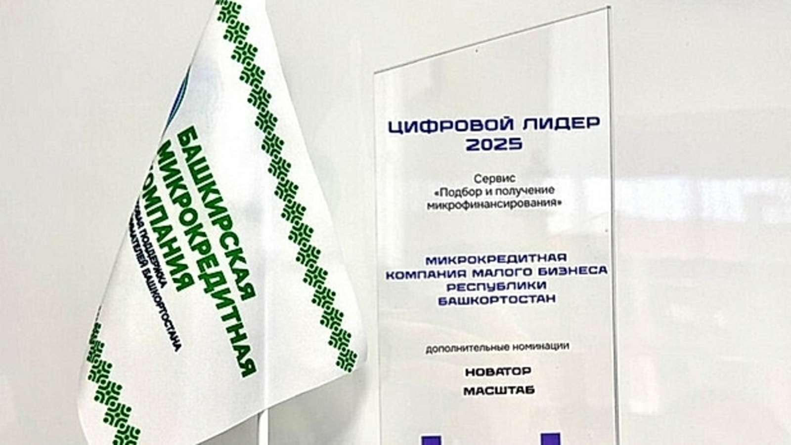 Башкирия вошла в число лидеров по цифровой микрофинансовой поддержке