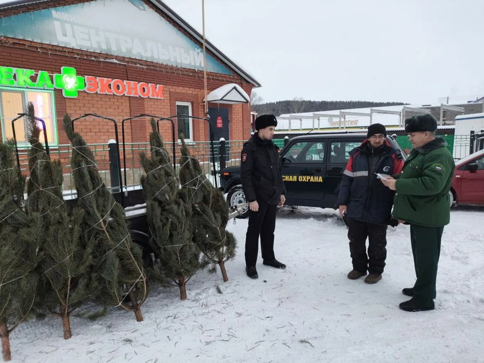 В Минлесхозе РБ подвели итоги ежегодной операции  «Ель-2025»