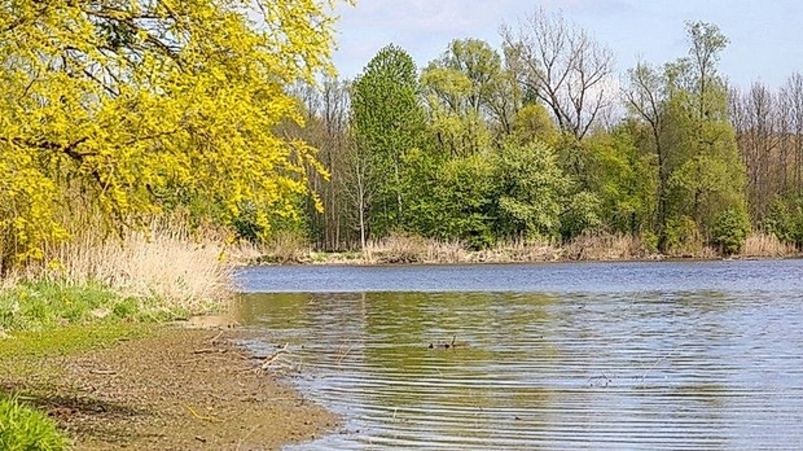 Инспекторы ПП «Аслы-Куль» спасают ихтиофауну