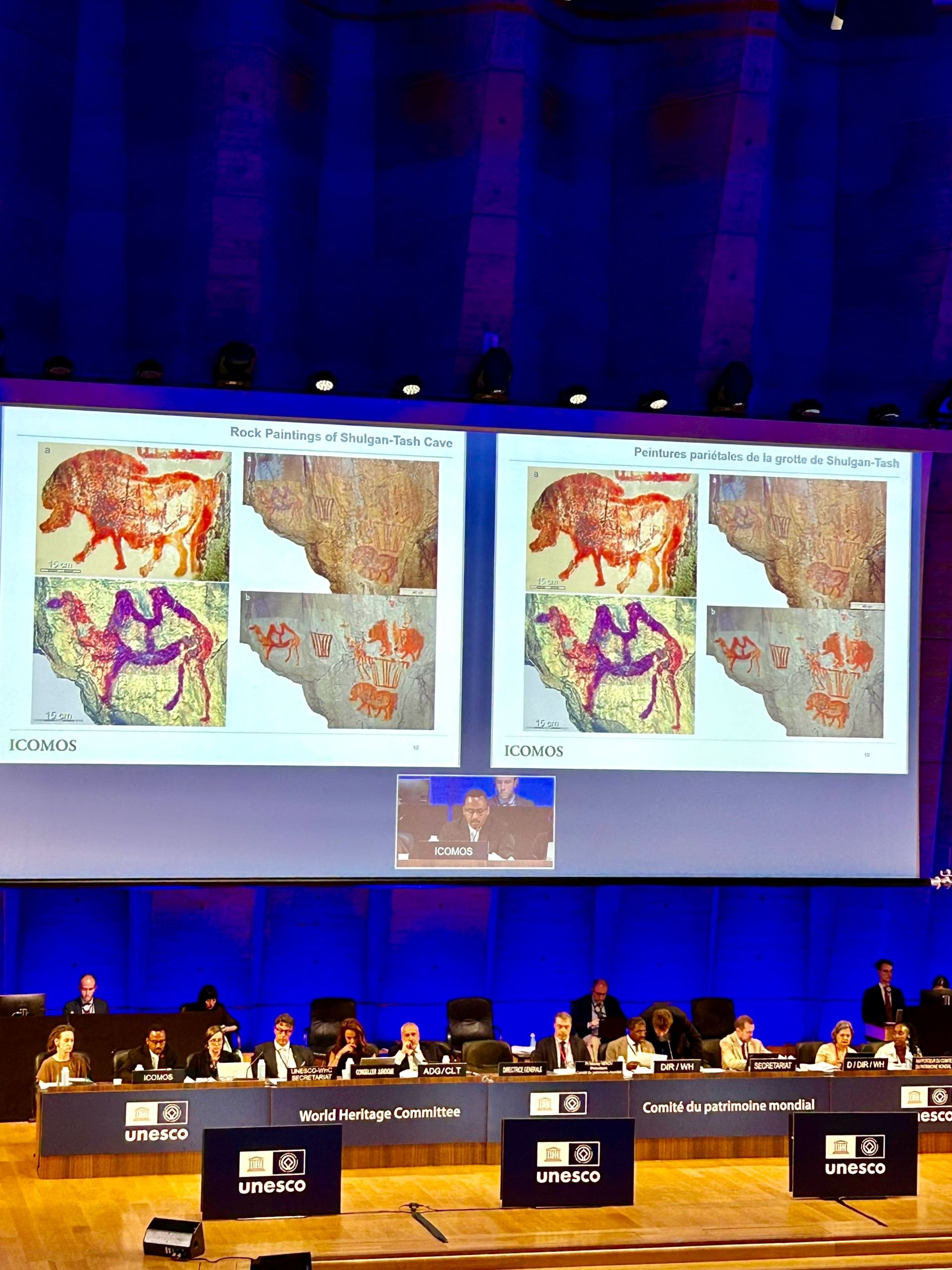 Признана мировая ценность наскальной живописи  башкирской пещеры