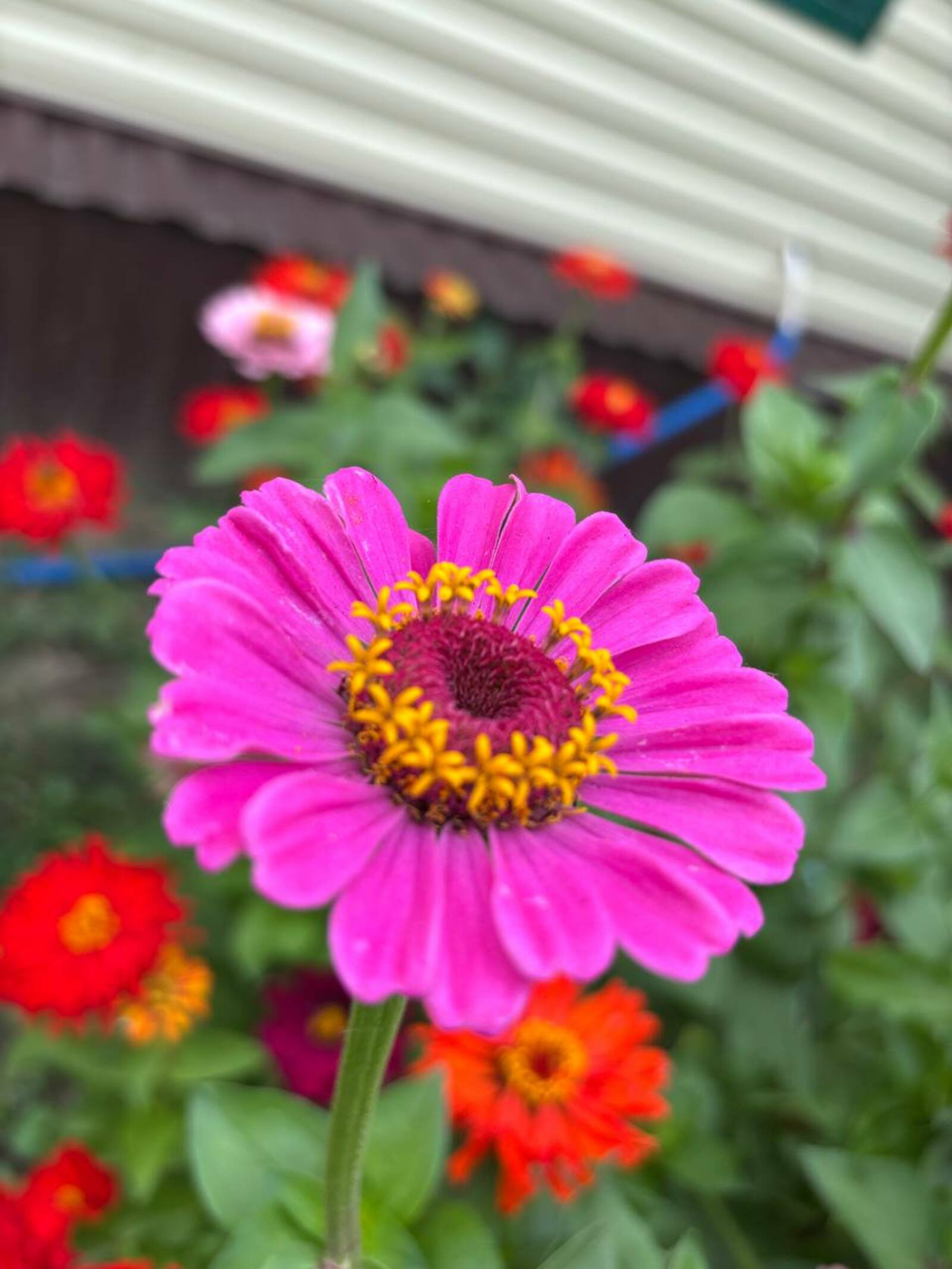 Фото Г.Рахметовой