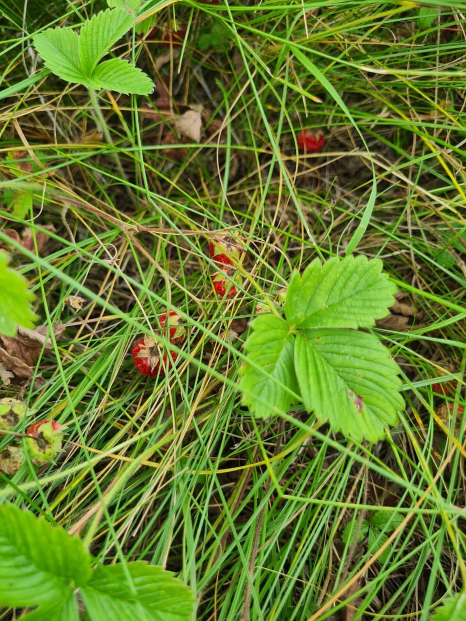 Фото Г.Рахметовой