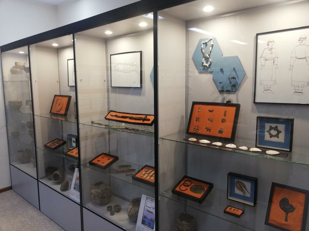 Уфимский университет приглашает посетить музеи с уникальными экспонатами