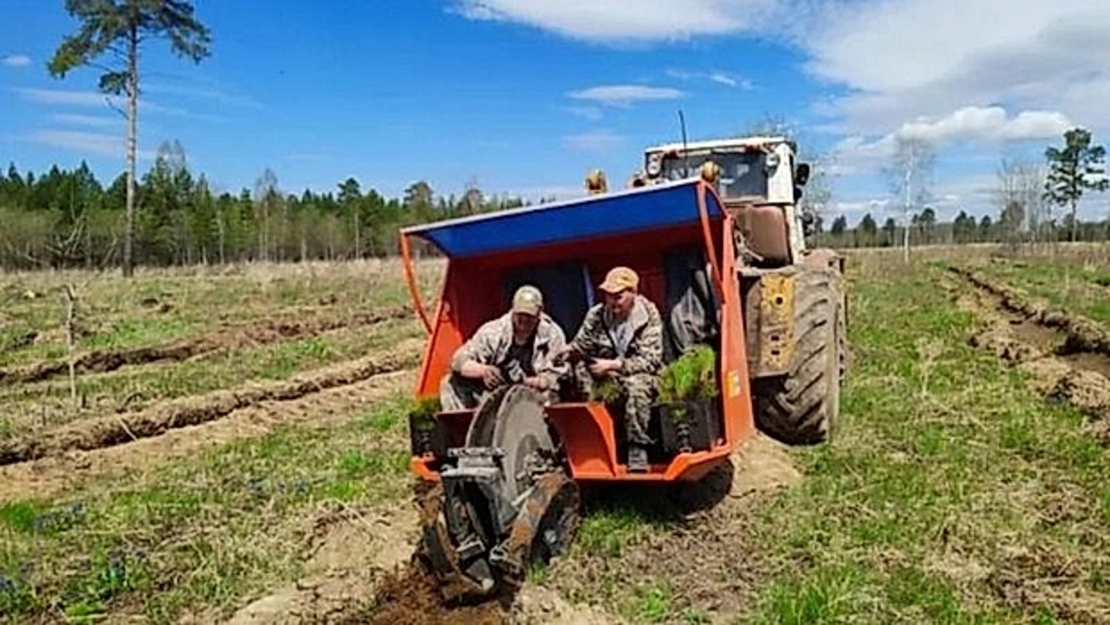 В Башкирии за год восстановили более 14 тысяч га леса