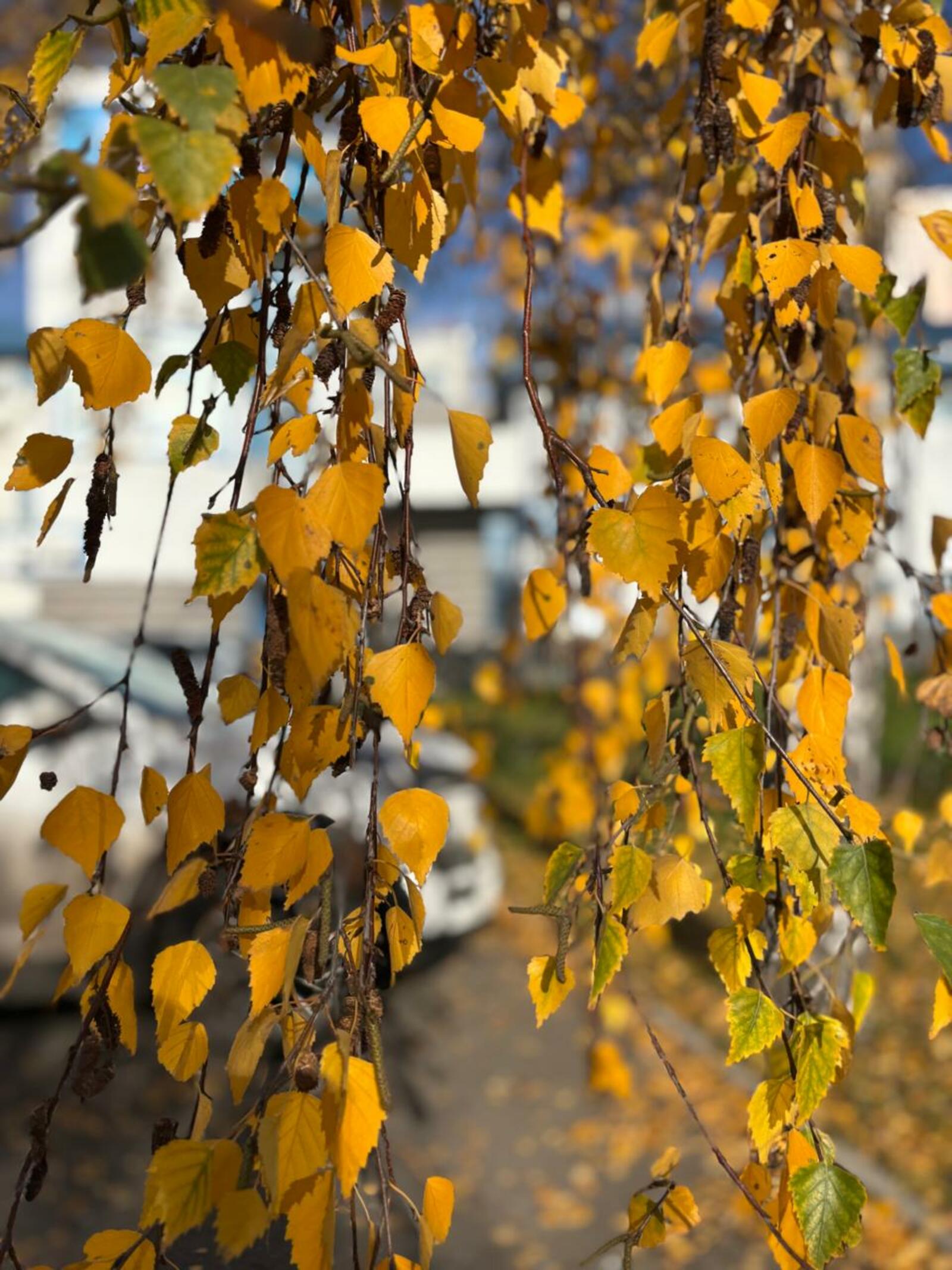 Фото Г.Рахметовой