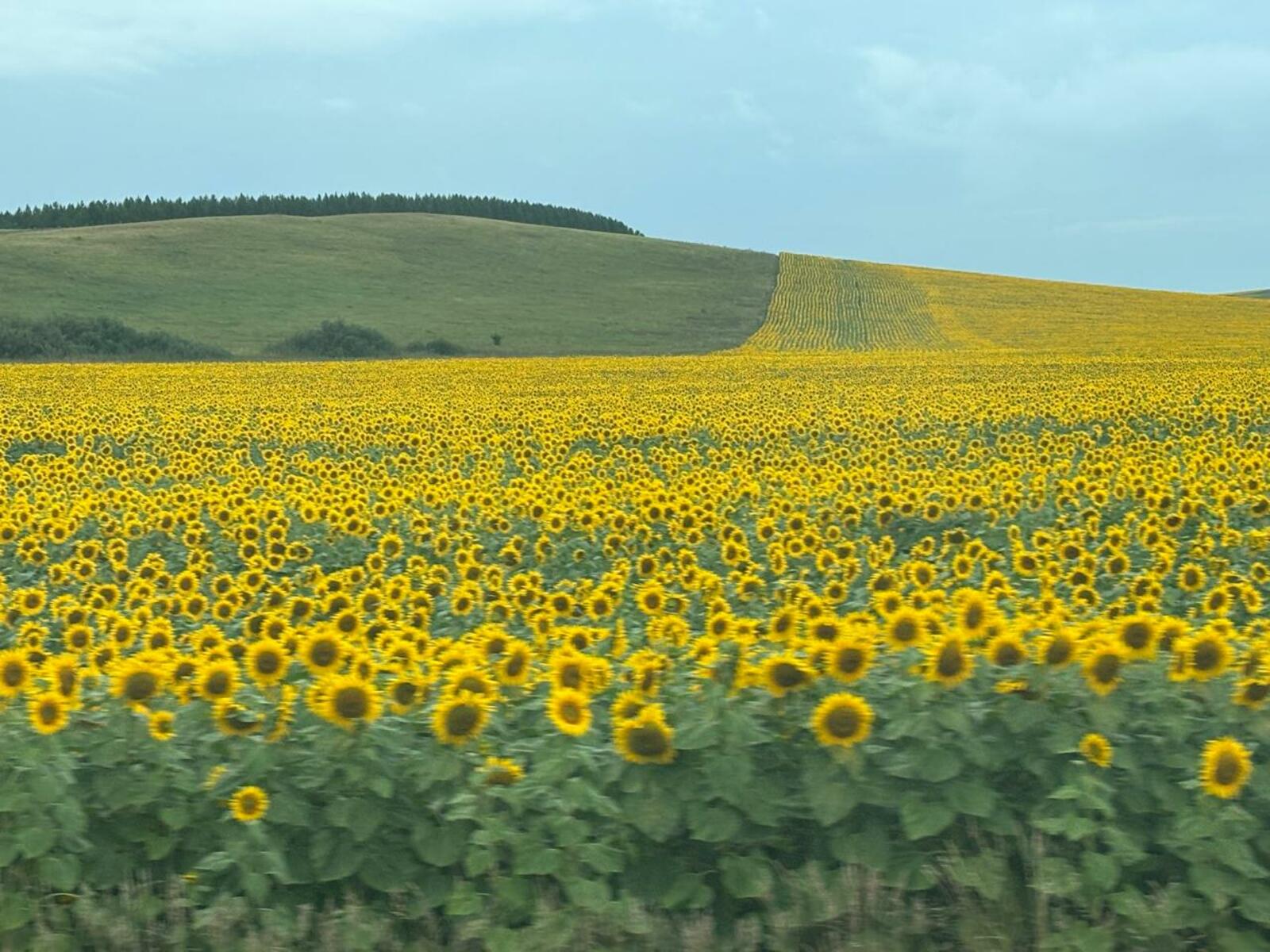 Фото Г.Рахметовой