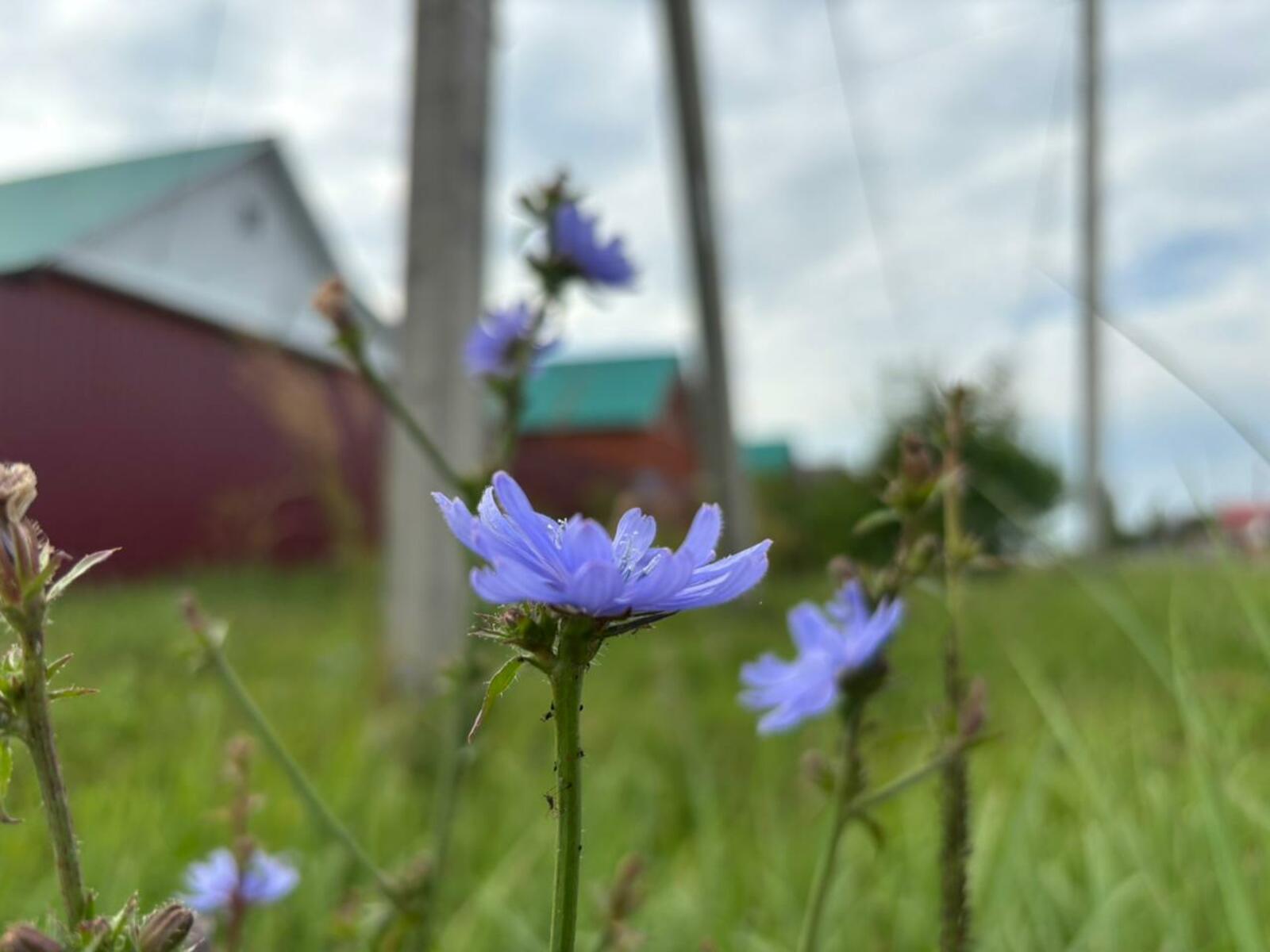 Фото Г.Рахметовой