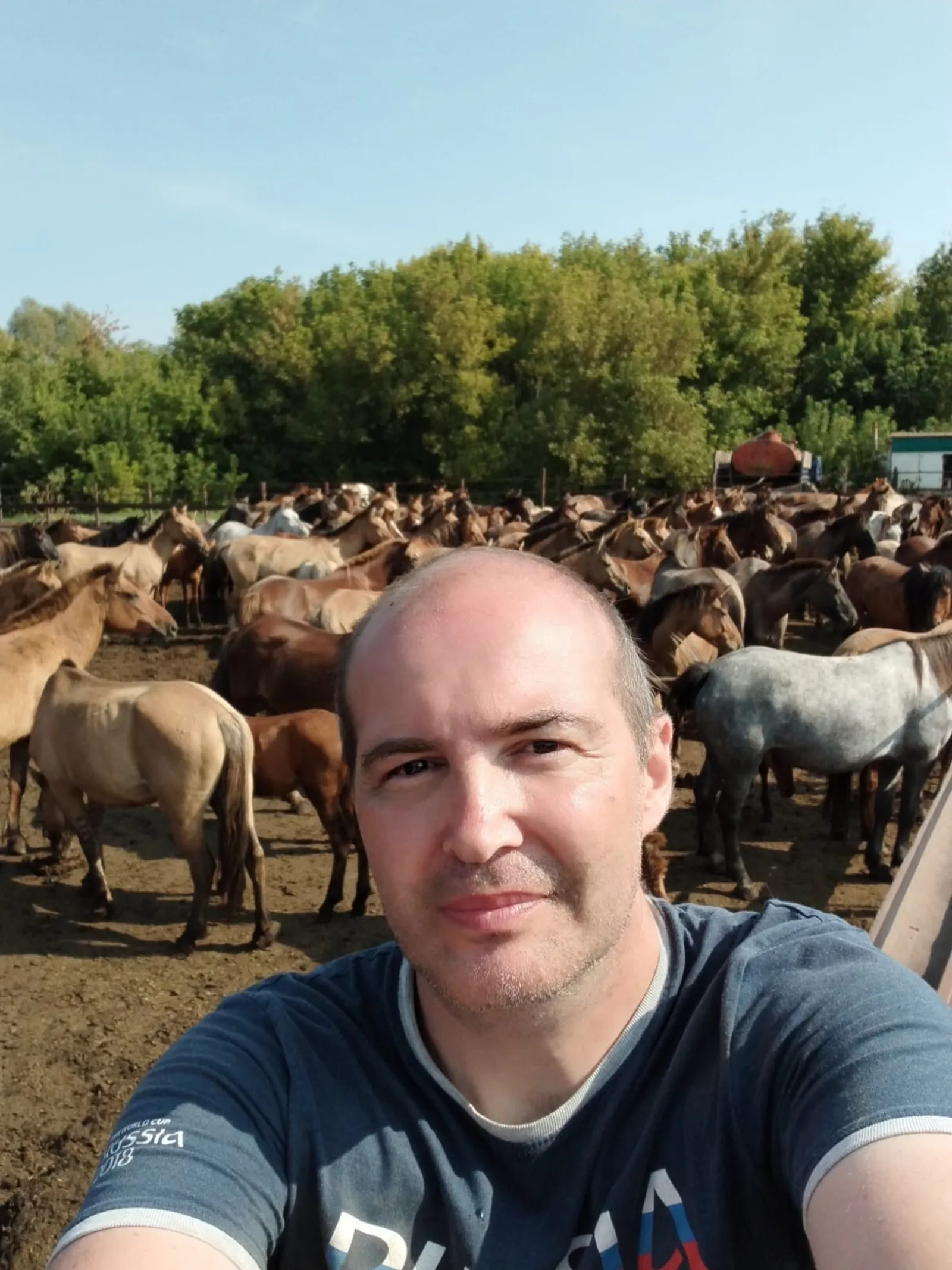 Как башкирские лошади стали продуктивнее