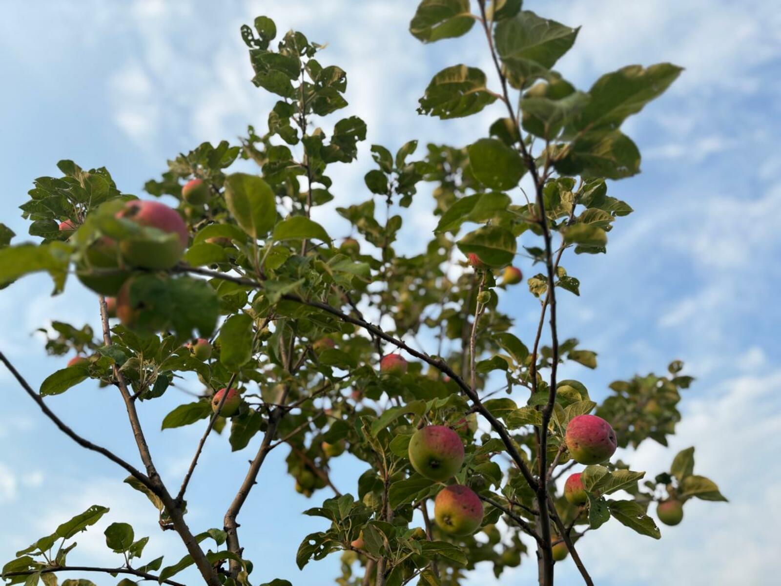 Фото Г.Рахметовой