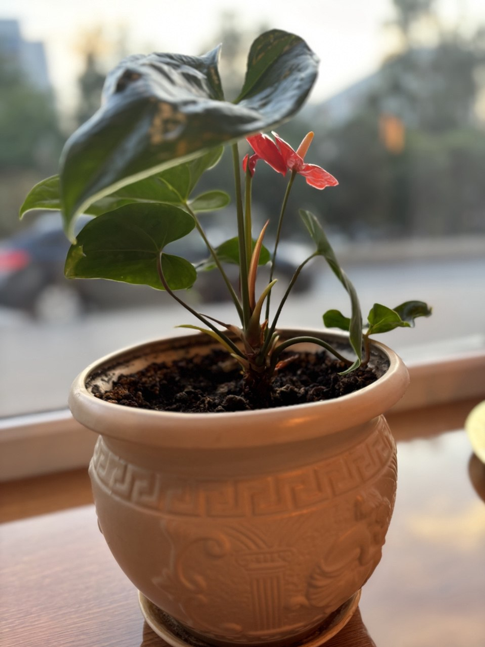 Фото Г.Рахметовой