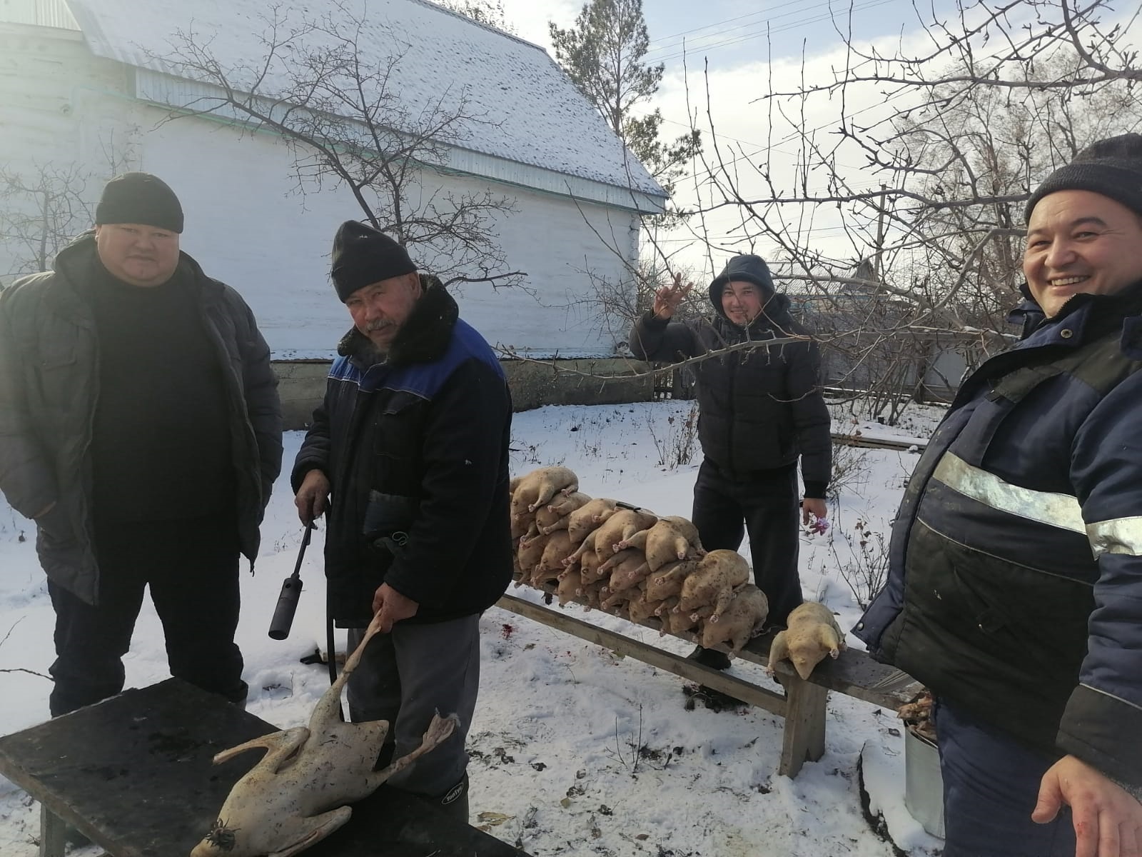 Башкирские обычаи,  связанные с домашними гусями