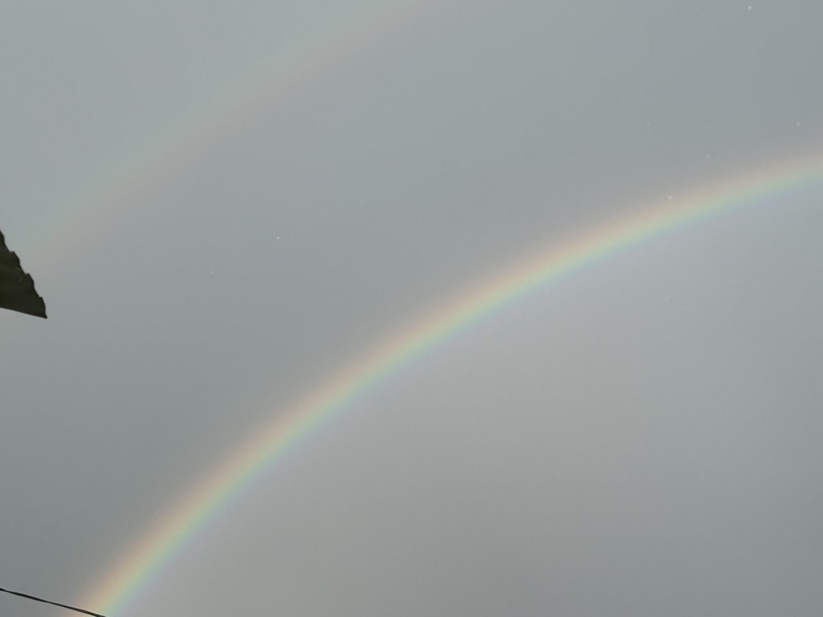 Фото Г.Рахметовой