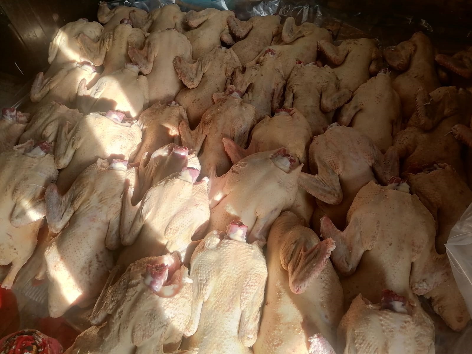 Башкирские обычаи,  связанные с домашними гусями