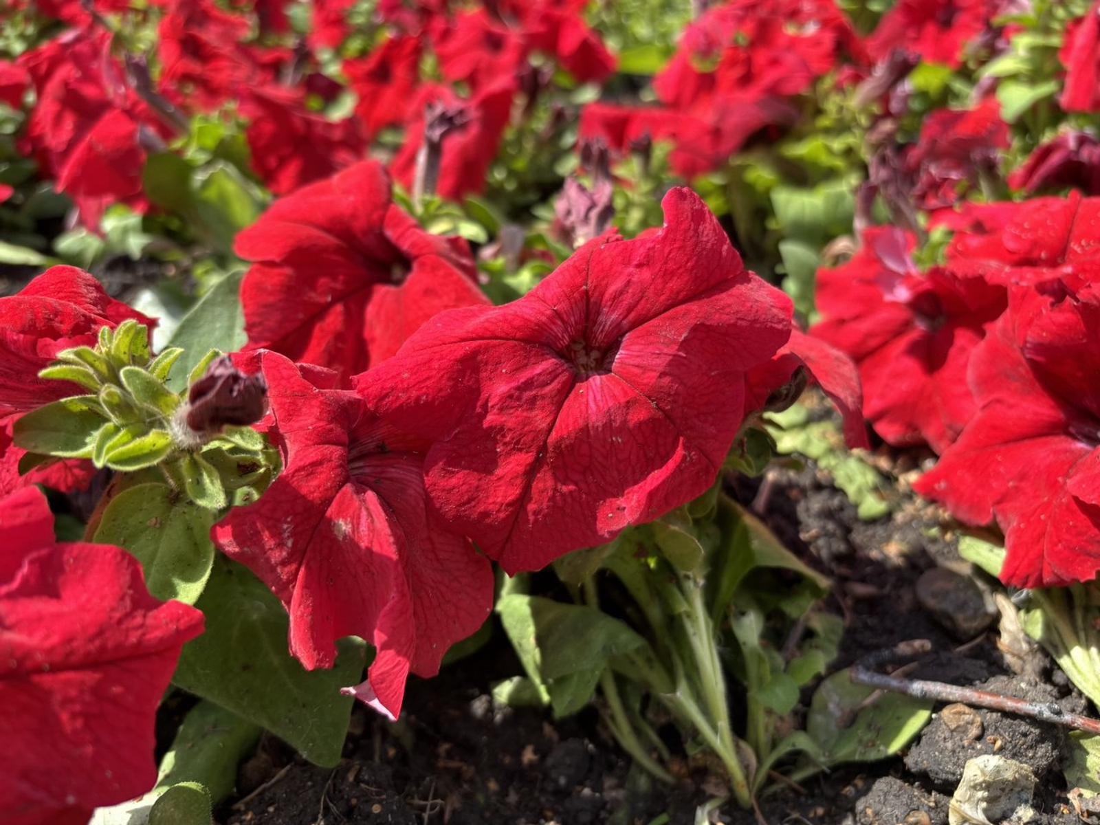 Фото Г.Рахметовой