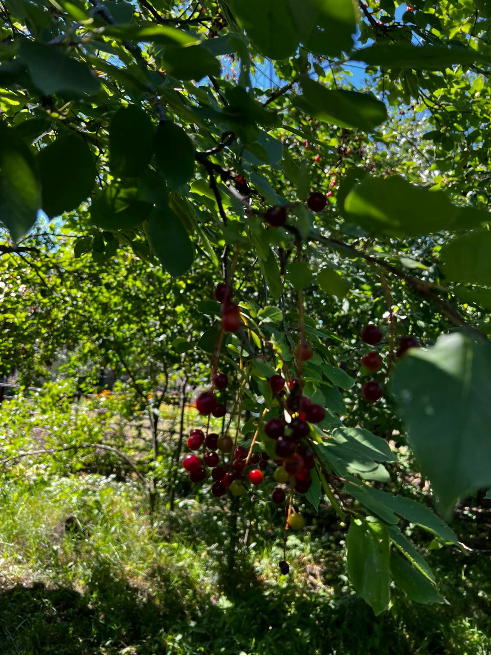 Фото Г.Рахметовой