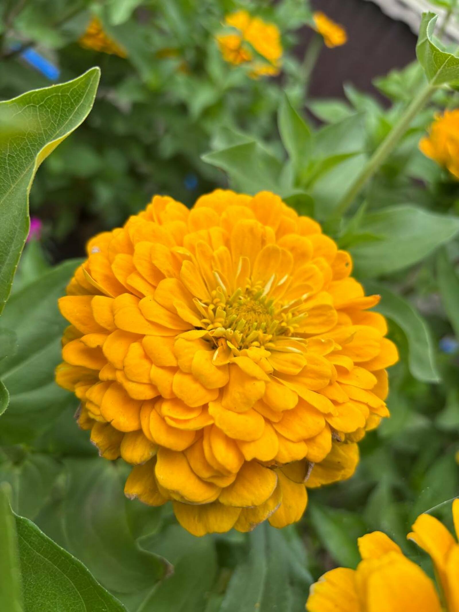 Фото Г.Рахметовой