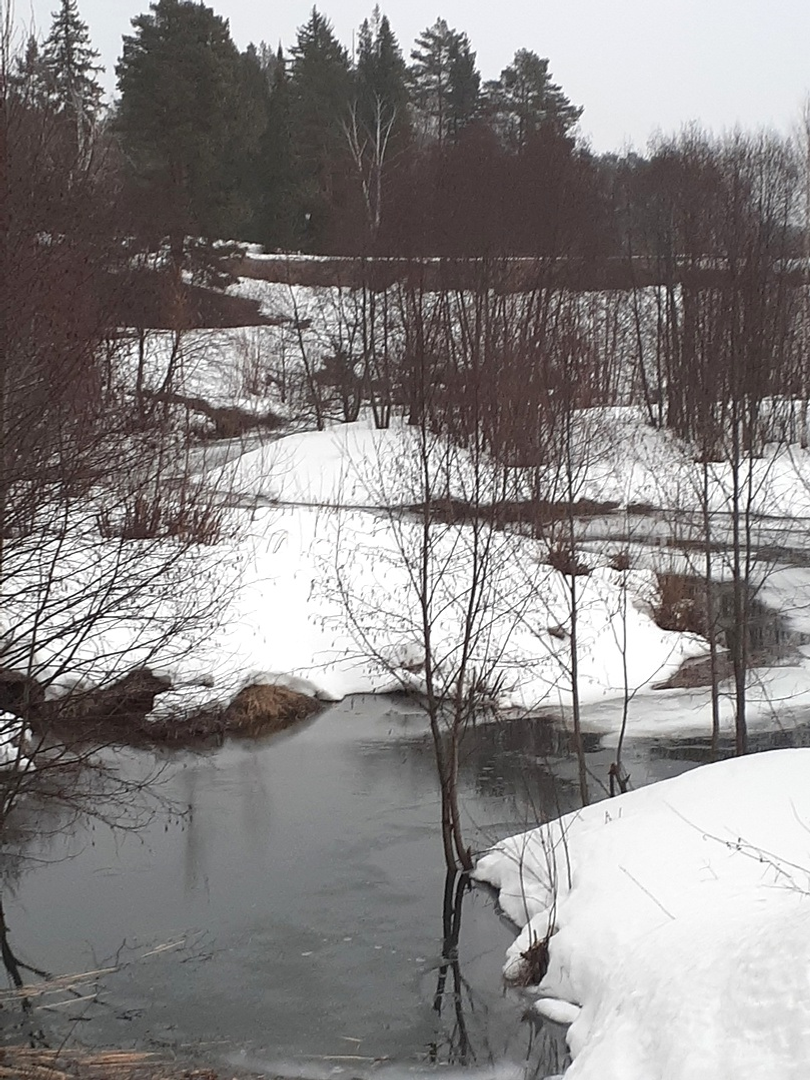 Историко-лингвистический анализ топонима «Тульгуз»