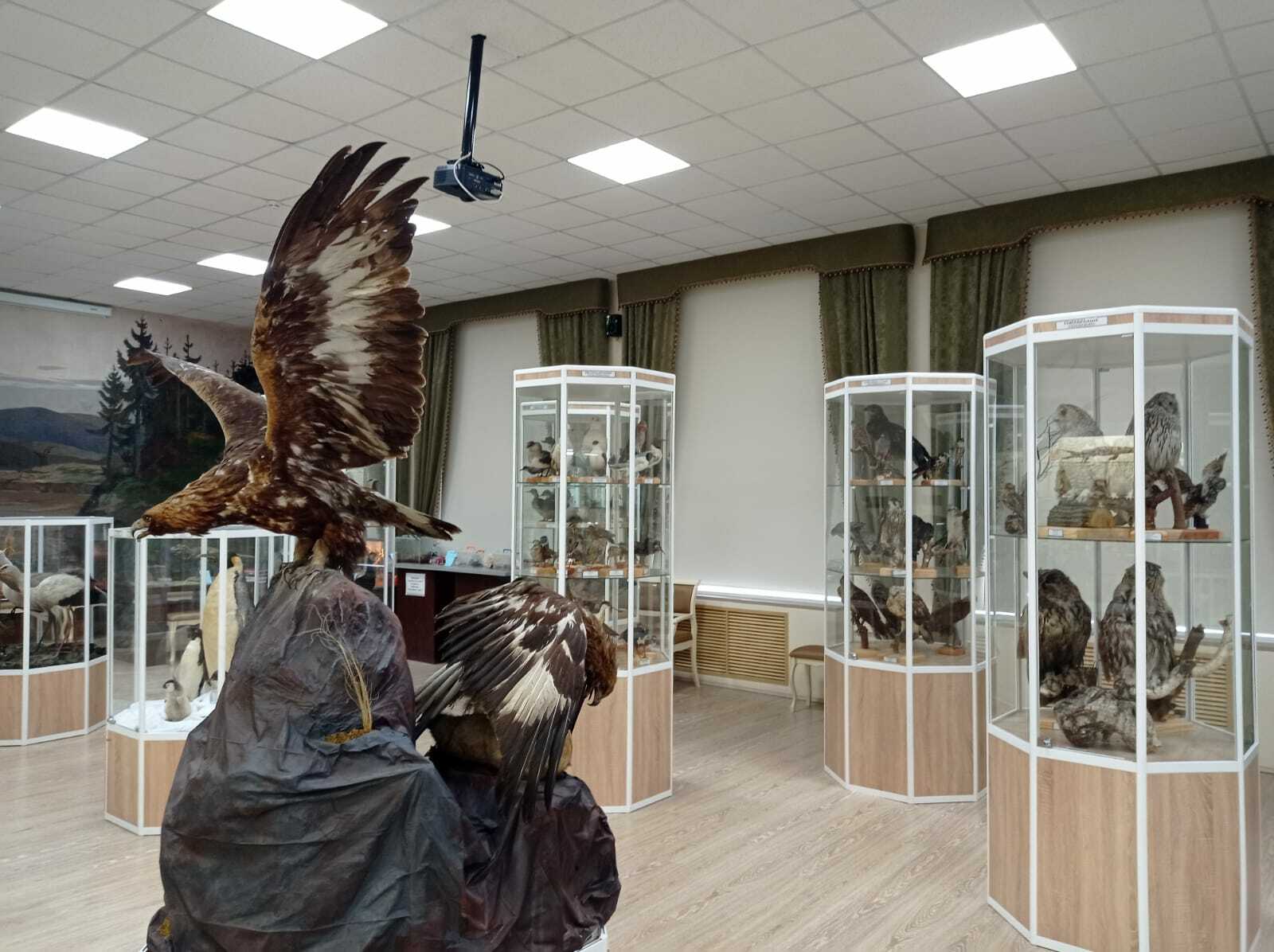 Уфимский университет приглашает посетить музеи с уникальными экспонатами