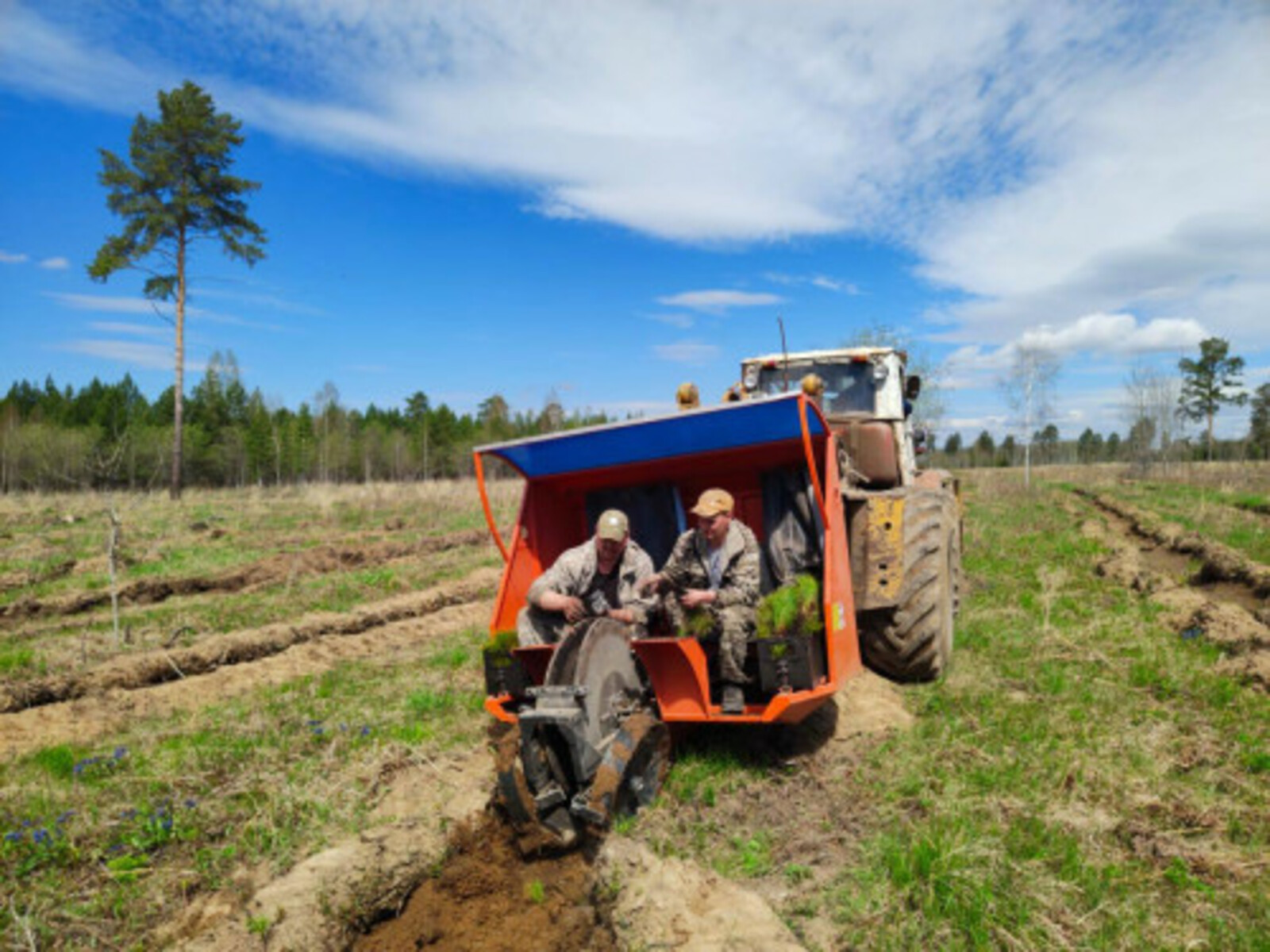 Перевыполнен ключевой показатель проекта «Сохранение лесов»