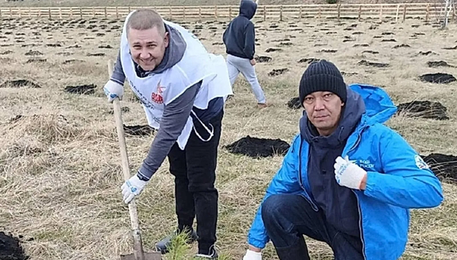В Баймакском районе высадили 2 тысячи сосен