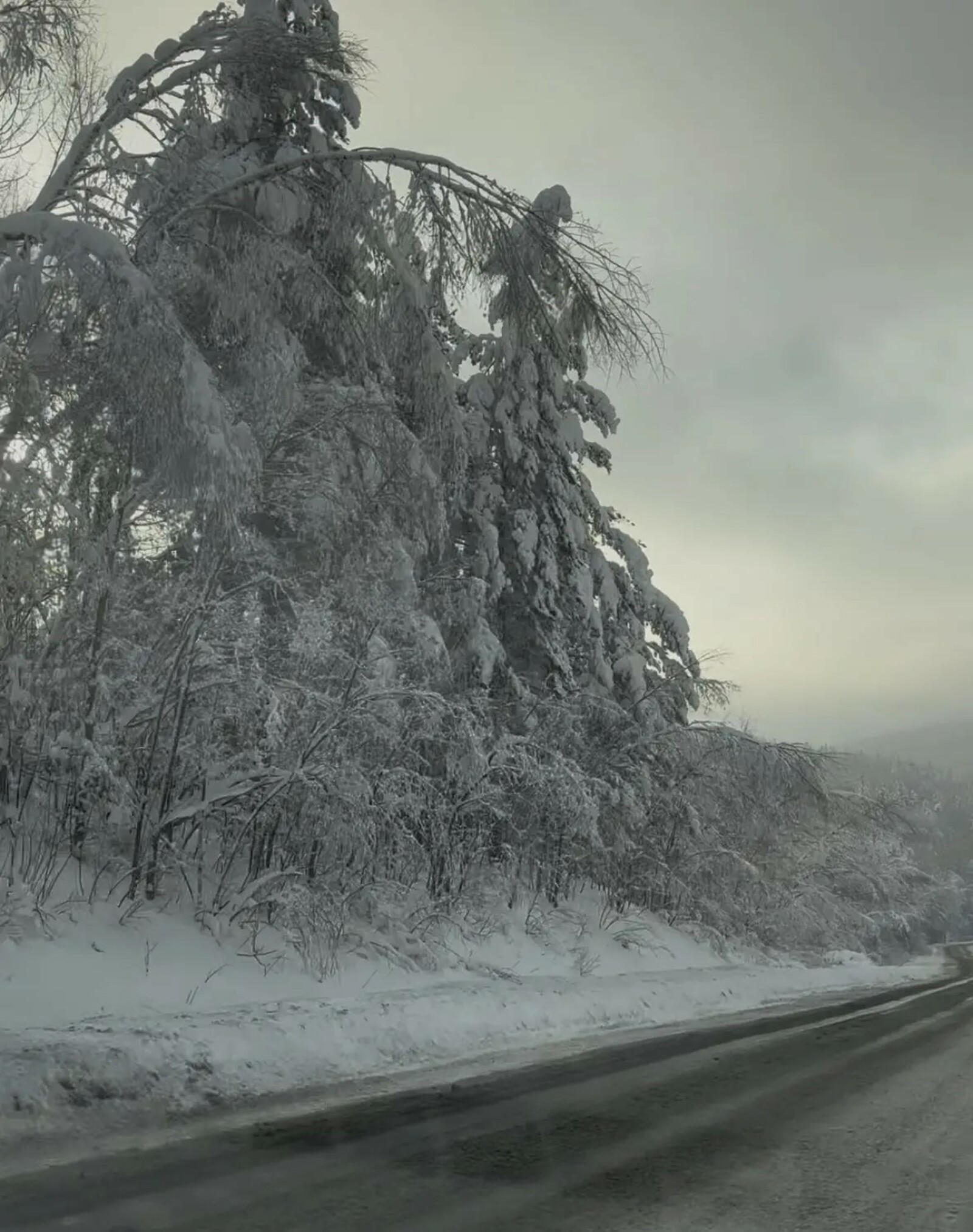 Фото Г.Рахметовой