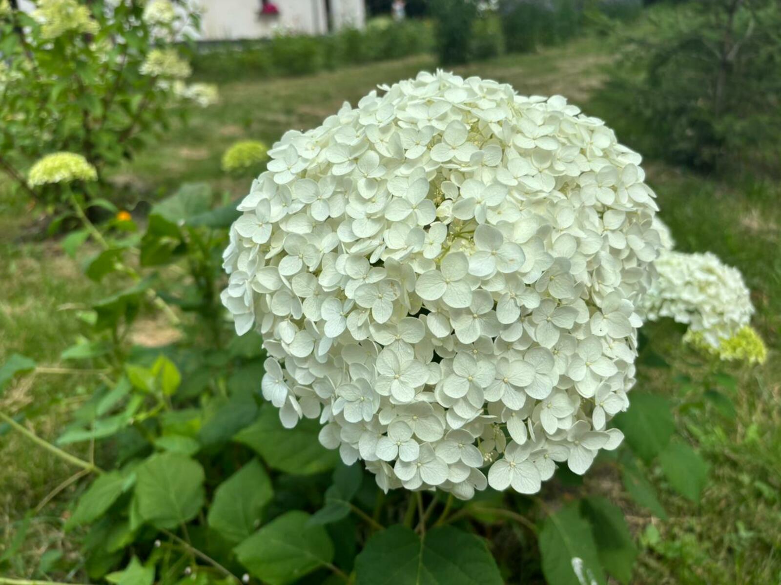 Фото Г.Рахметовой