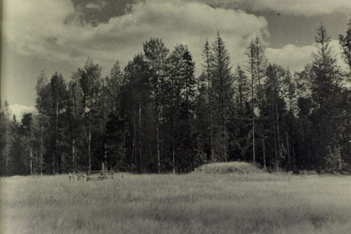 Фотография из газеты «Комсомольская правда», сентябрь 1944. В левой части снимка – первоначальное место захоронения А. Матросова.  В правой части снимка – дзот.