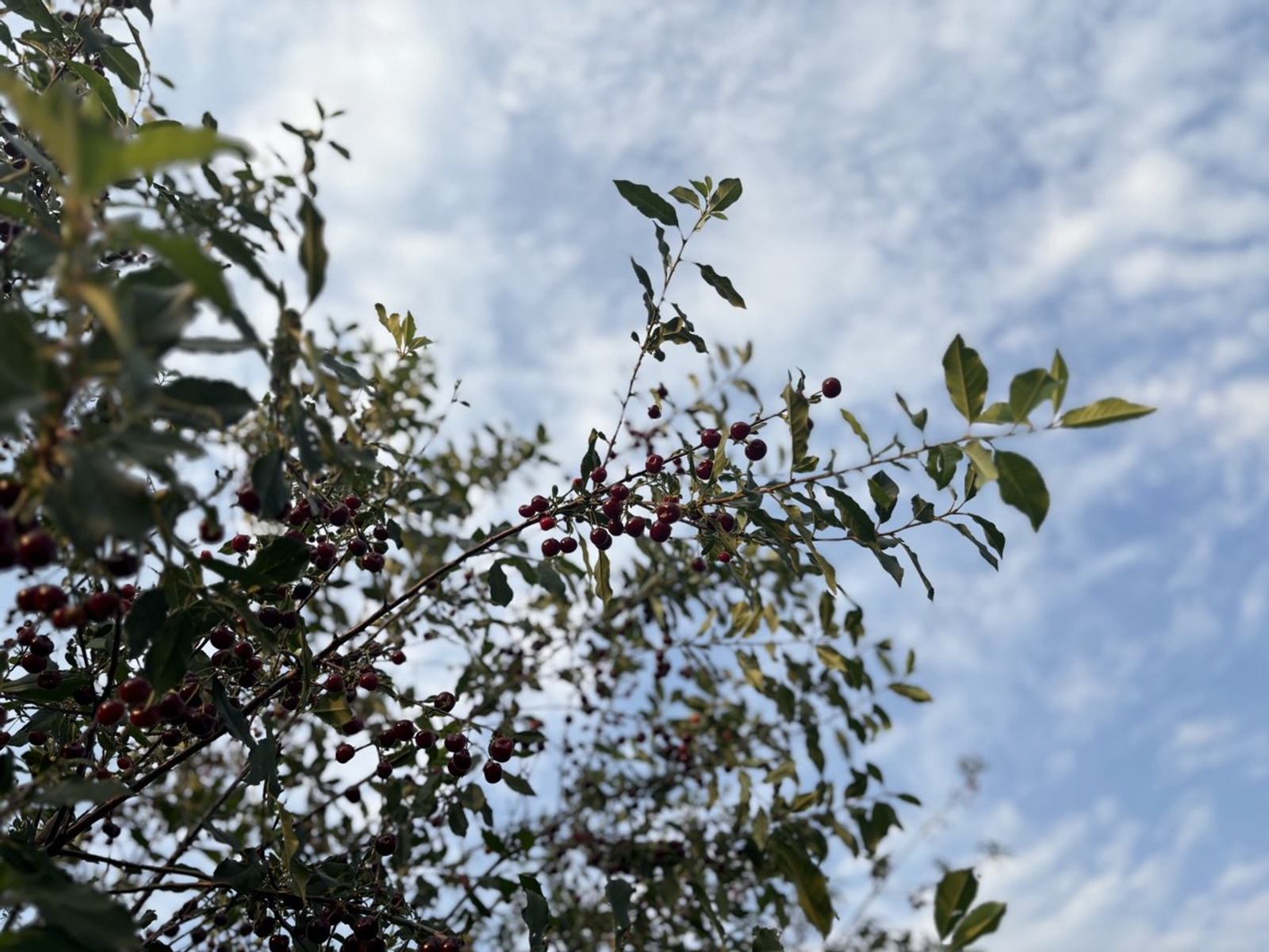 Фото Г.Рахметовой