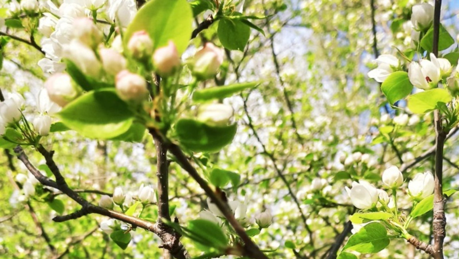 Уфимская телебашня засветится в честь Первомая